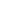 Donkey Esel