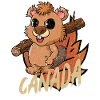 Castor du Canada