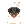 Birthday Gift Hovawart