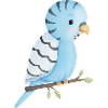 cute budgie bird