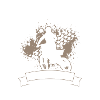 Motocross Racing Riders