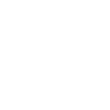 Papa Fox Terrier lisse