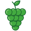 Grapes Fruit Grapes