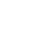 Dog paws