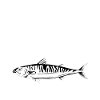 Mackerel Costume