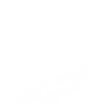 Feather with birds