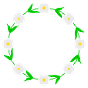 Blumenkranz Gänseblümchen