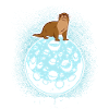 Otter Sea Otter