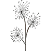 fleur d’herbes