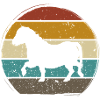 Shetty Shetland Pony retro