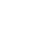White whale