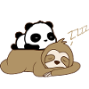 Cute panda sleeping on sloth