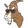 Goat - Brown goat with sunglasses