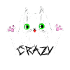 Crazy Kitty