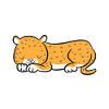 Śpiący Jaguar Lazy Jaguar Piżama