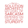 Solution Architect Sarcasm | Solution Architecture