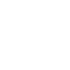 Papa Joke Survivor