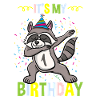 Its My 1st Birthday Raccoon