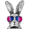 Bisexual Bi Pride Flag Rabbit