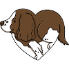Love Springer Spaniels