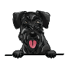 Riesenschnauzerhund für spähende Hundeliebhaber