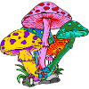 Shrooms