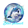 dolphin, earth, painting,blue,dolphins,sea,planet
