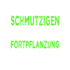 Landschaftsgärtner Gartenbau Schrebergarten