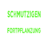 Hobbygärtner Landschaftsgärtner Gartenbau