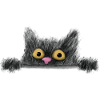 Chat peeping