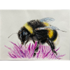 Hummel (Bumble Bee)