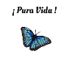 Pura Vida - Papillon