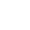 Swedish Lapphund
