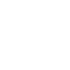Paratroopers Eagle Paratroopers