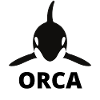Orca killer whale