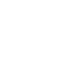 Skier Evolution Skie