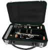 Clarinet Disassembled Inside a Suitcase