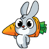 Hard-working bunny