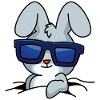 Lapin cool