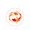 Koi Whisperer Koi Pond