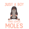 Sweet Mole Young Gift