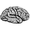 Black Brain NEUROSCIENCE