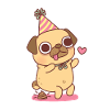 Cute Pug Poops At Party