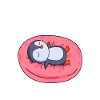 Pinguin Pinguine