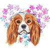 Cavalier King Charles Spaniel