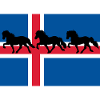Islandflagge Tölter