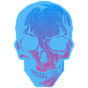 Halloween skull skull