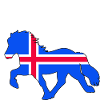 tölter flag iceland
