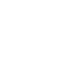 Pilot