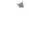 Chinchilla Souris de Chinchilla